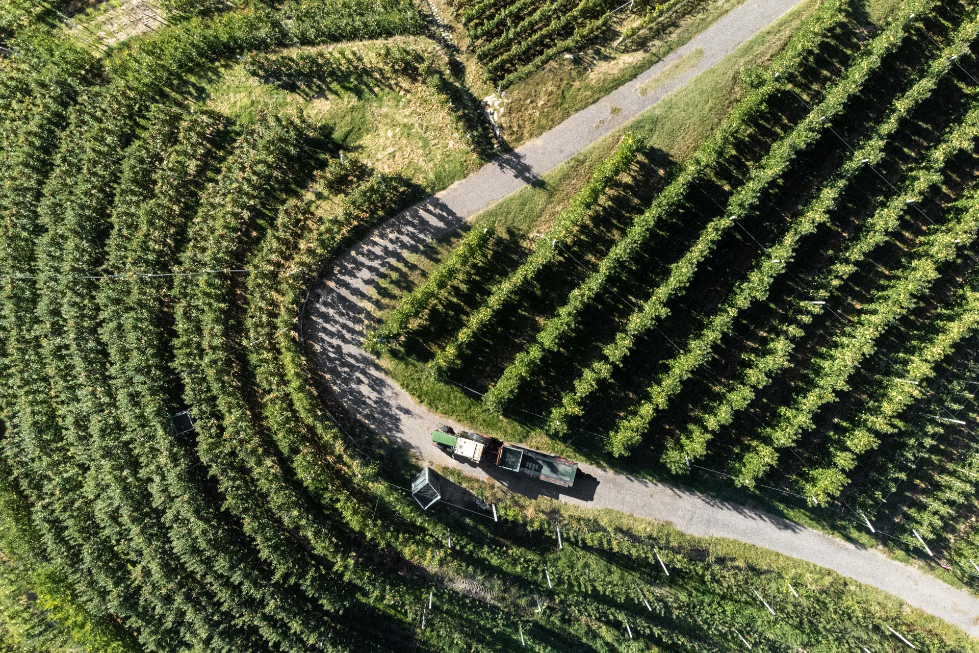 Finanziamenti agevolati per le imprese agricole e ittiche nel campo dell’energia rinnovabile