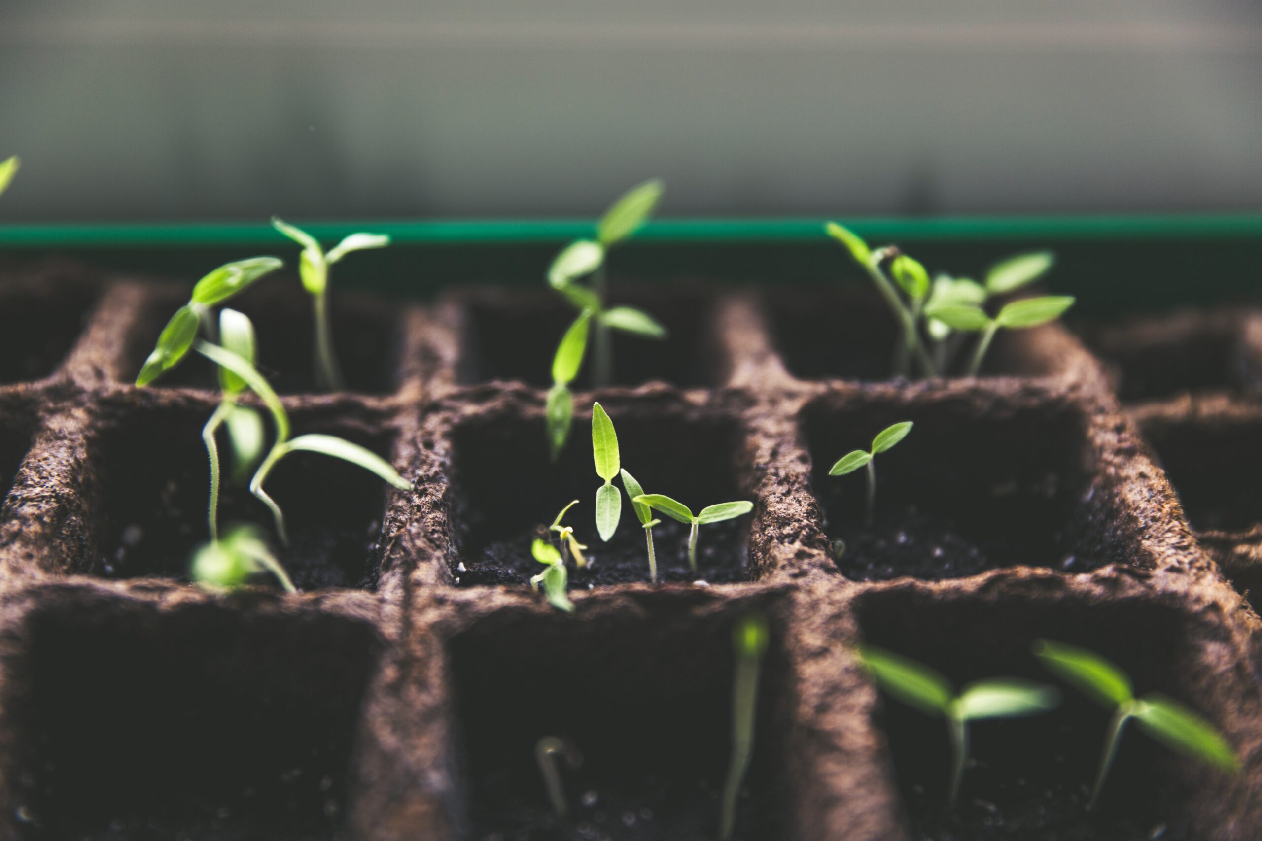 Nuove opportunità per le aziende agricole e ittiche